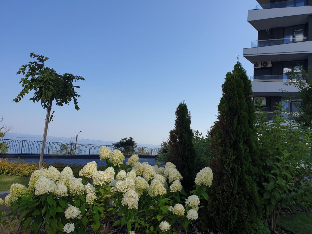 Premium Seaview 50 Meters From The роскошные с прямым видом на море в 50 метрах от пляжа Cf * 敖德萨